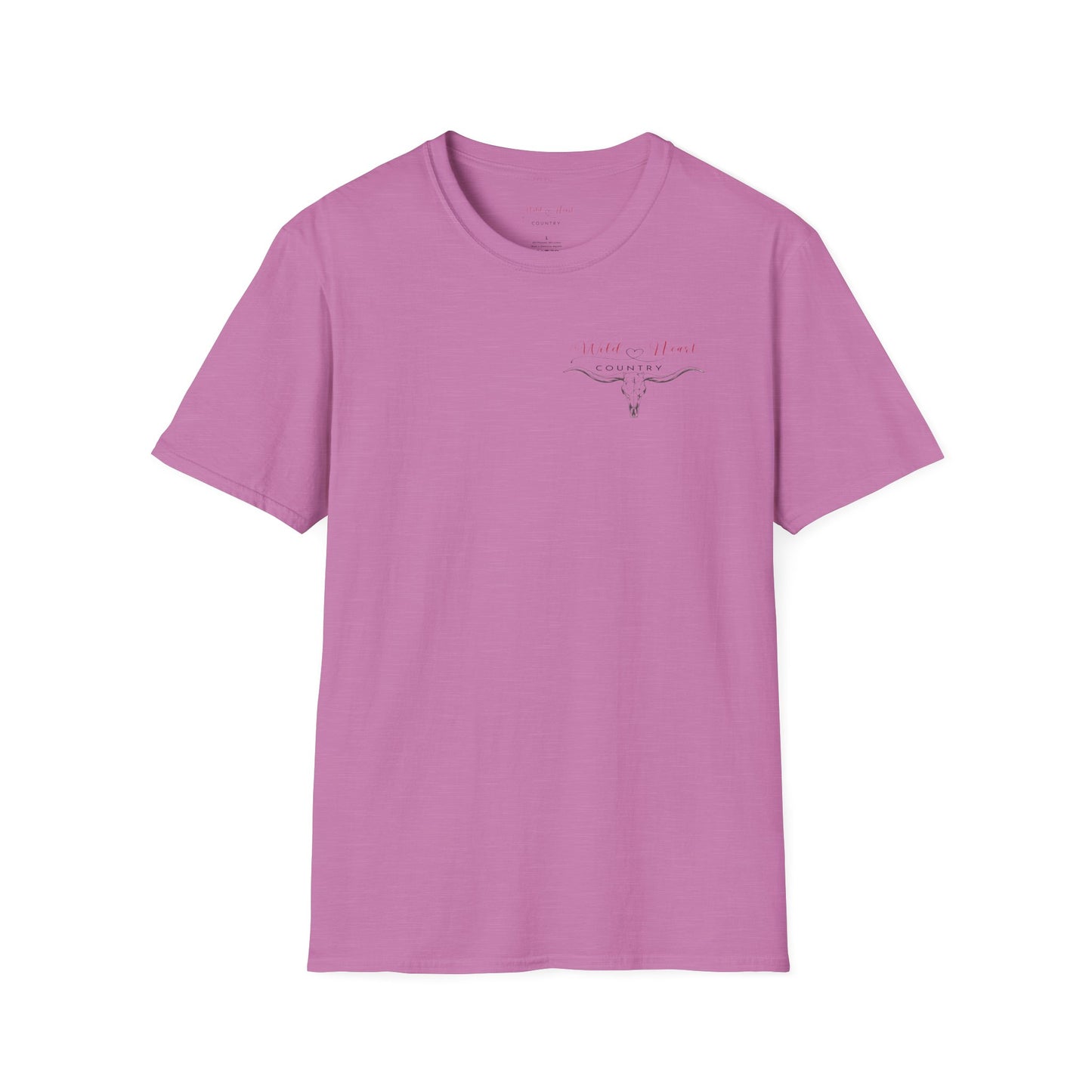 Last night lonely T Shirt, Country Music Shirt, Festival Tee, Western T-shirt, Concert T Shirt,