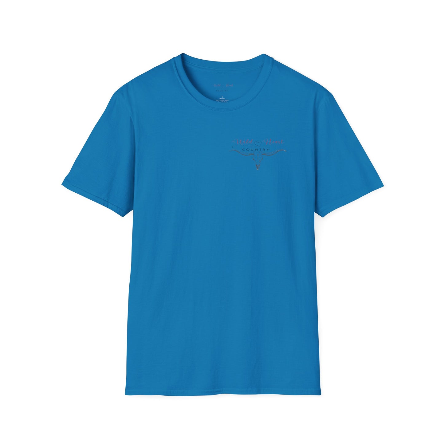 Last night lonely T Shirt, Country Music Shirt, Festival Tee, Western T-shirt, Concert T Shirt,